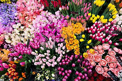 独立冒险游戏《破碎：被遗忘的国王》主机版2022年Q1发售